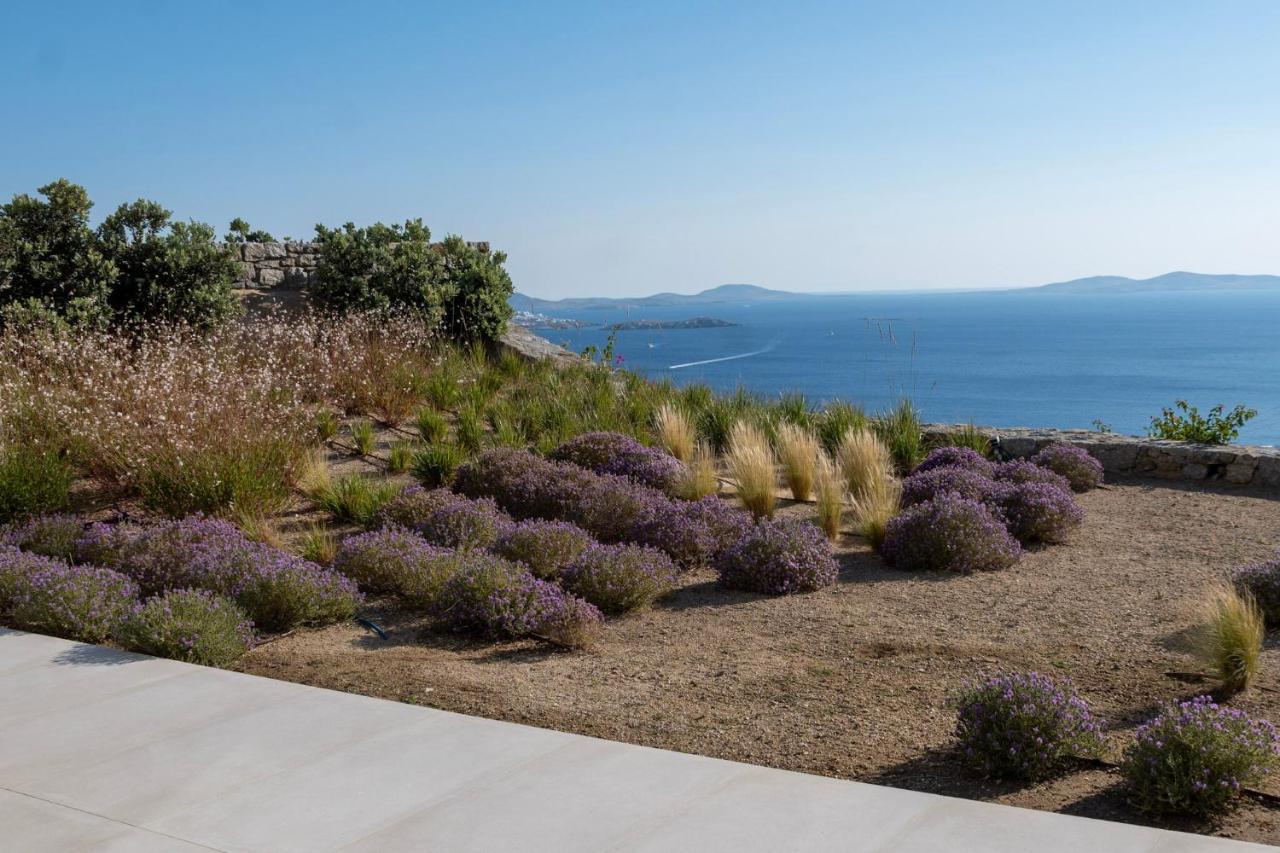 Zelia B&B & Villa Mykonos Town Zewnętrze zdjęcie